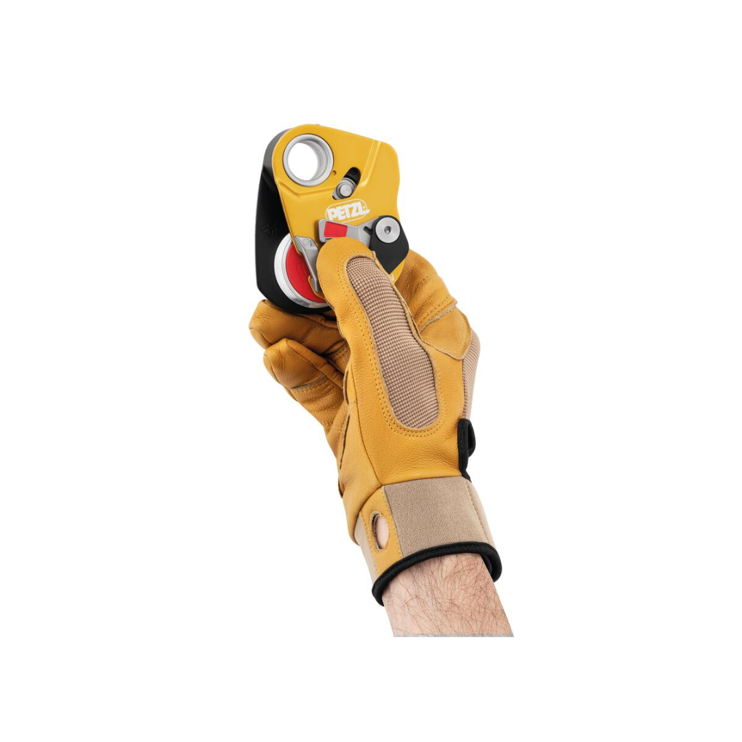 MINI TRAXION