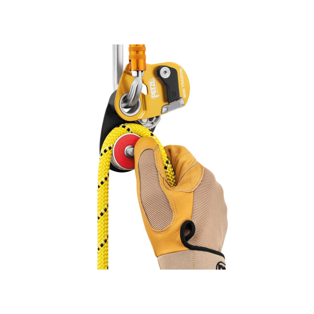 MINI TRAXION
