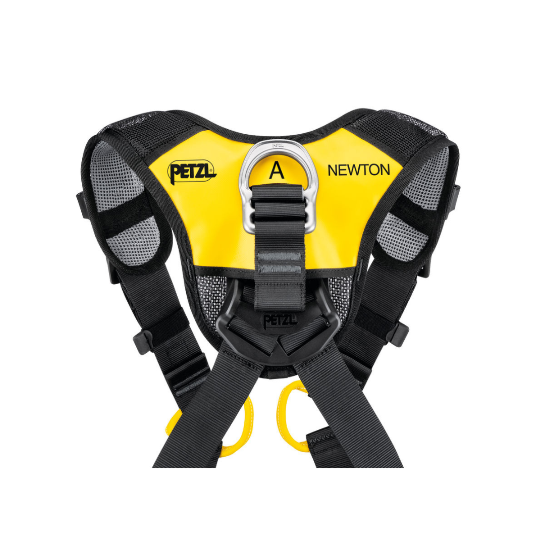 NEWTON FAST INTERNATIONAL VERSION