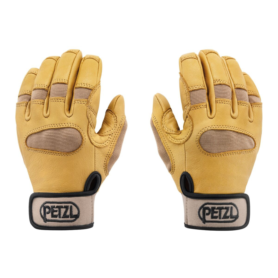 Cordex Plus