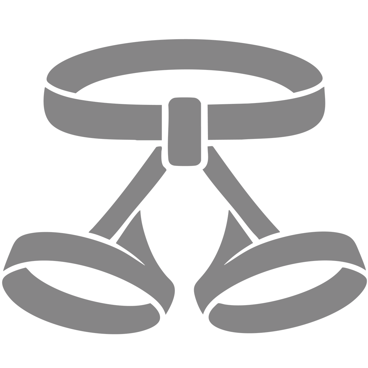 Harnesses