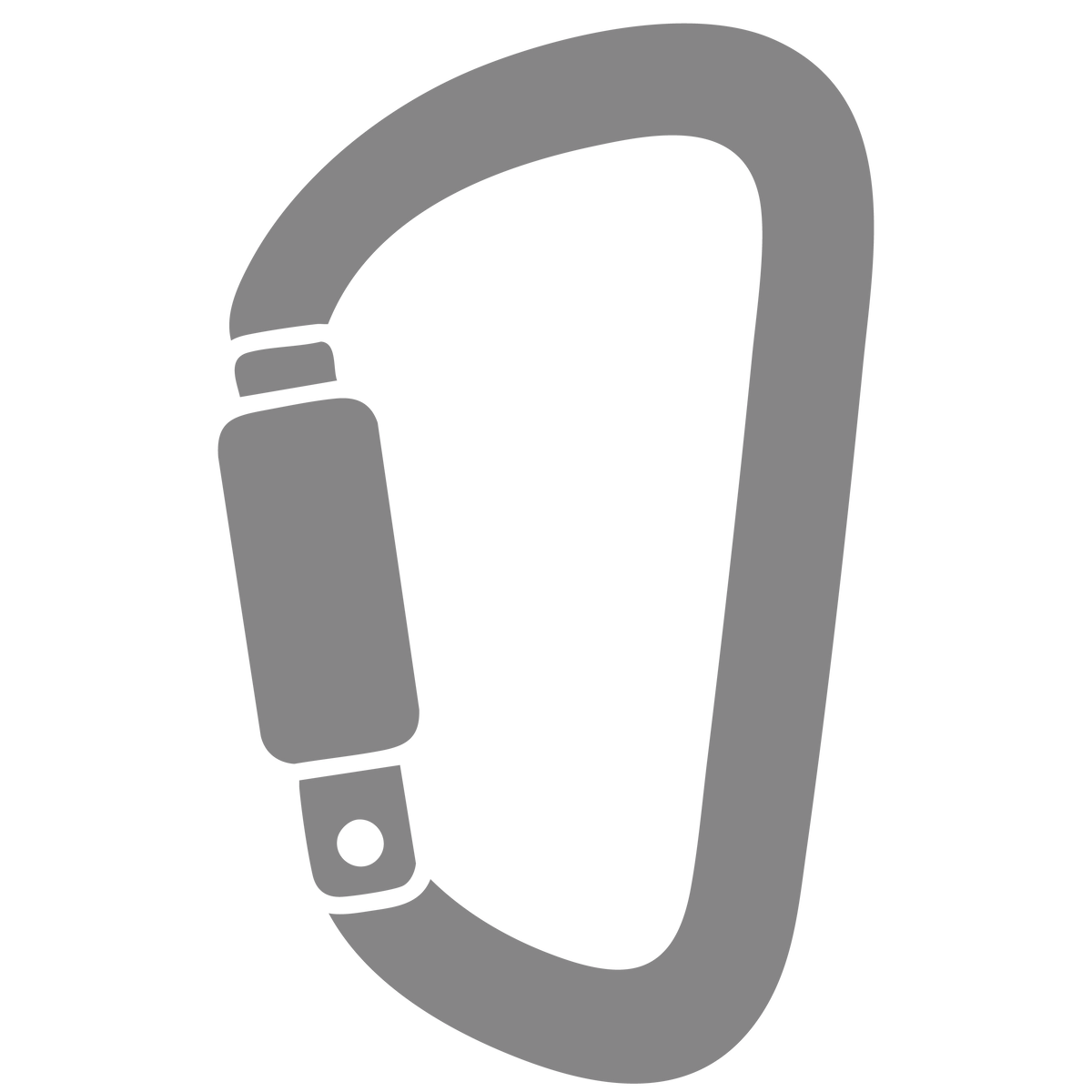 Pro-Carabiners & Connectors