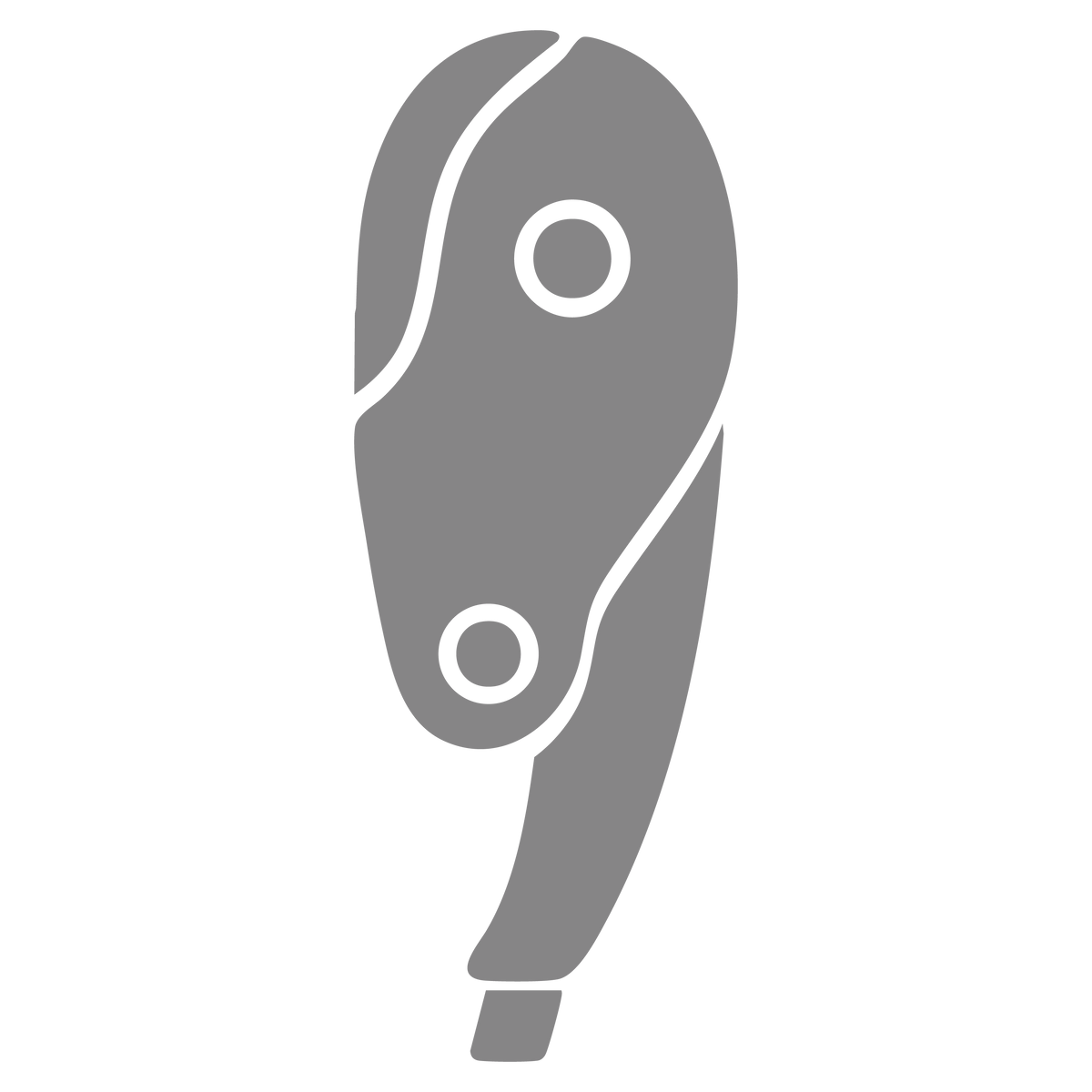 Pro-Descenders