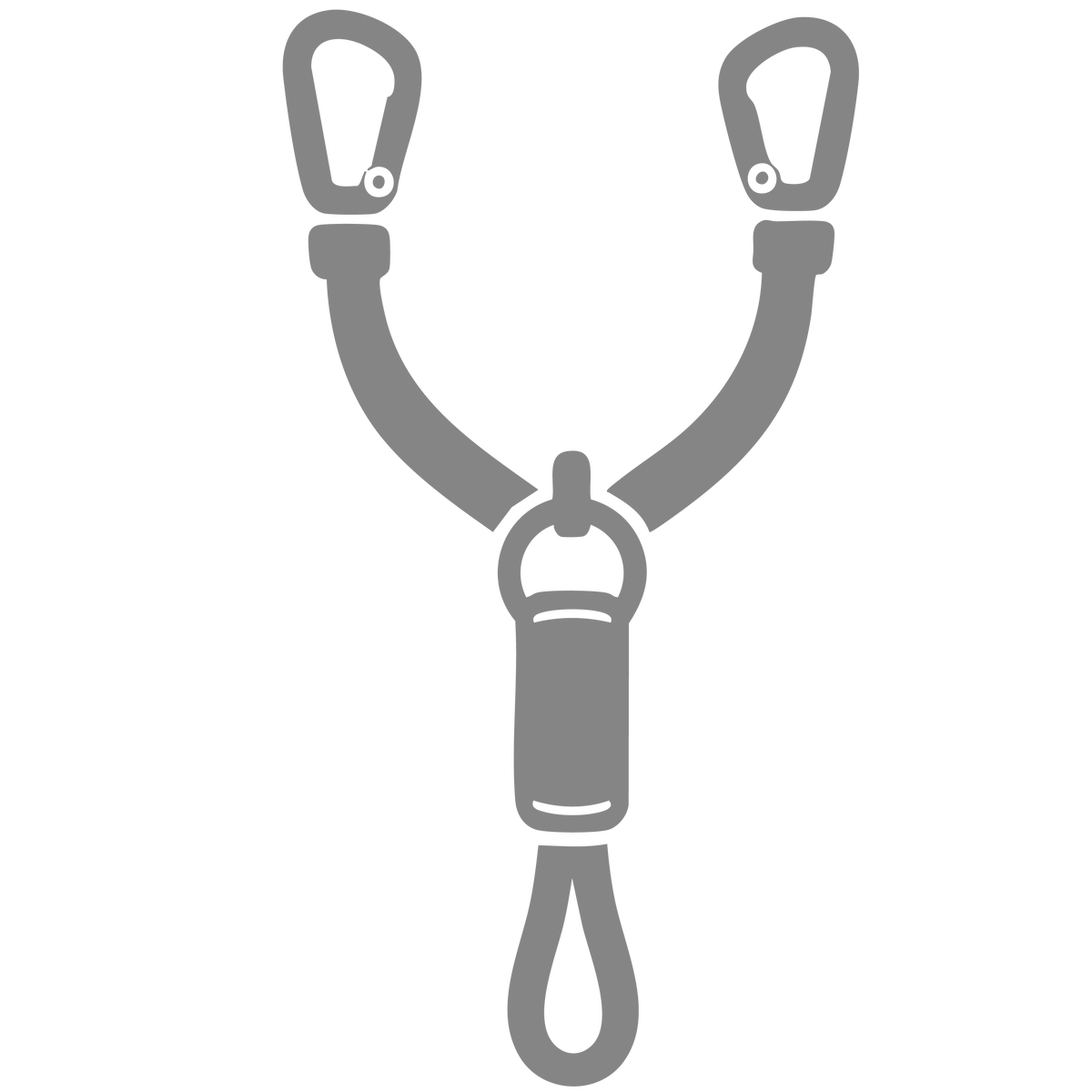 Pro-Lanyards and energy absorbers