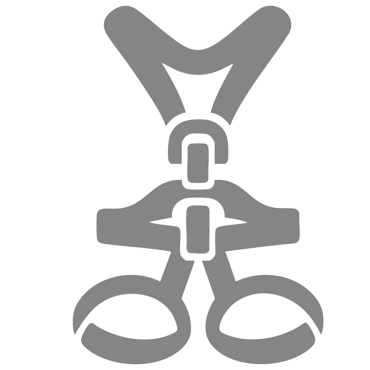 Pro-Harnesses
