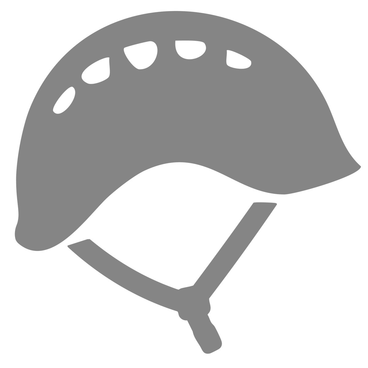 Pro-Helmets