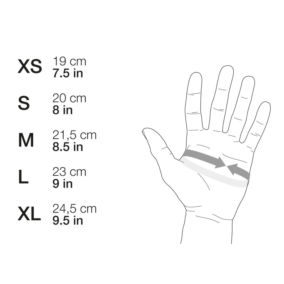 Cordex Plus