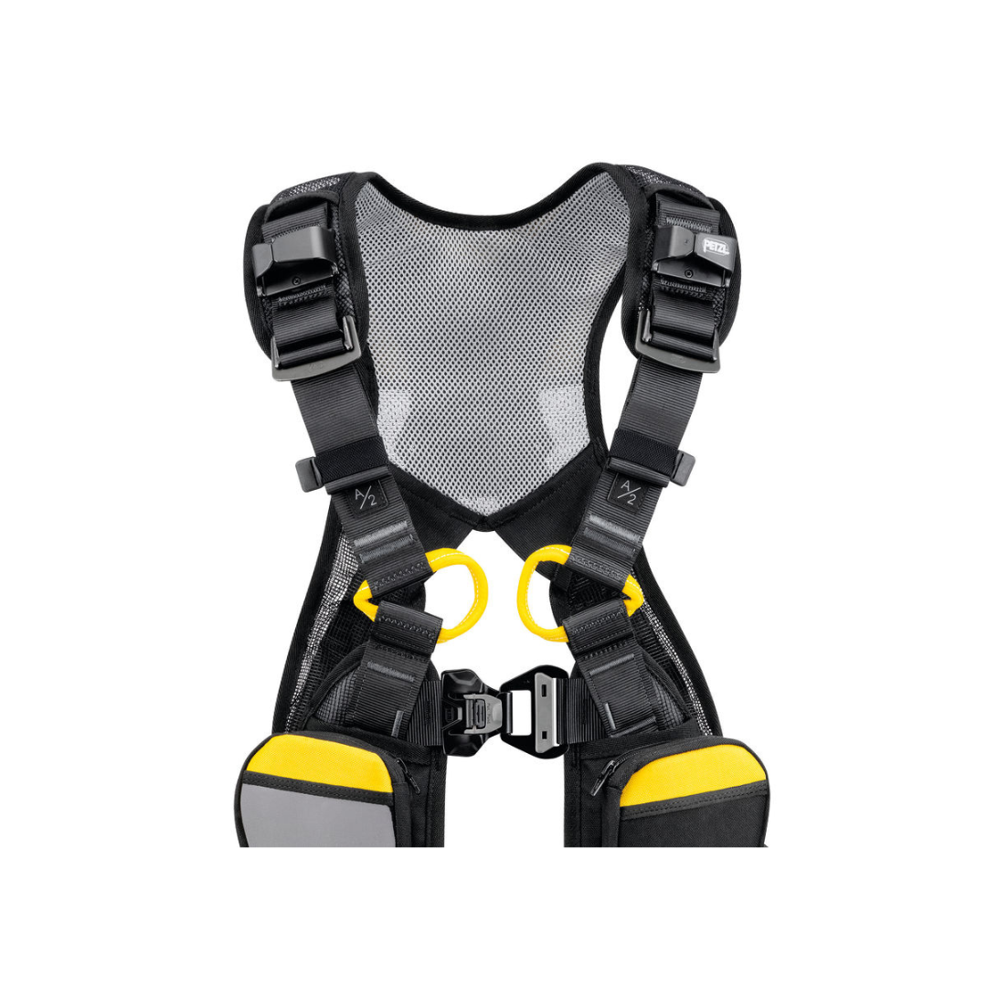 NEWTON EASYFIT INTERNATIONAL VERSION