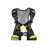 NEWTON EASYFIT INTERNATIONAL VERSION