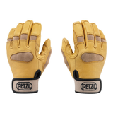 Cordex Plus