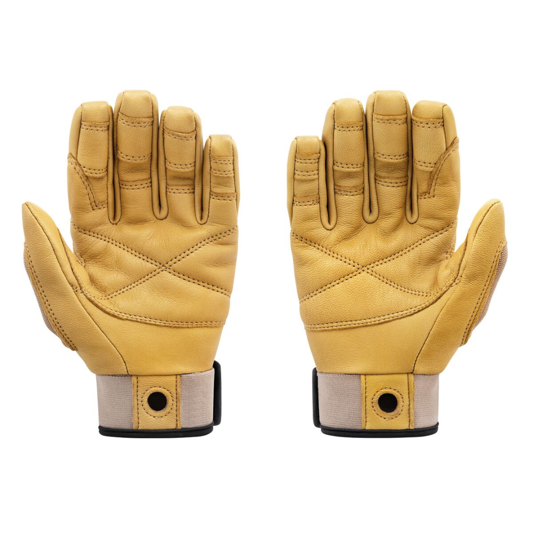 Cordex Plus